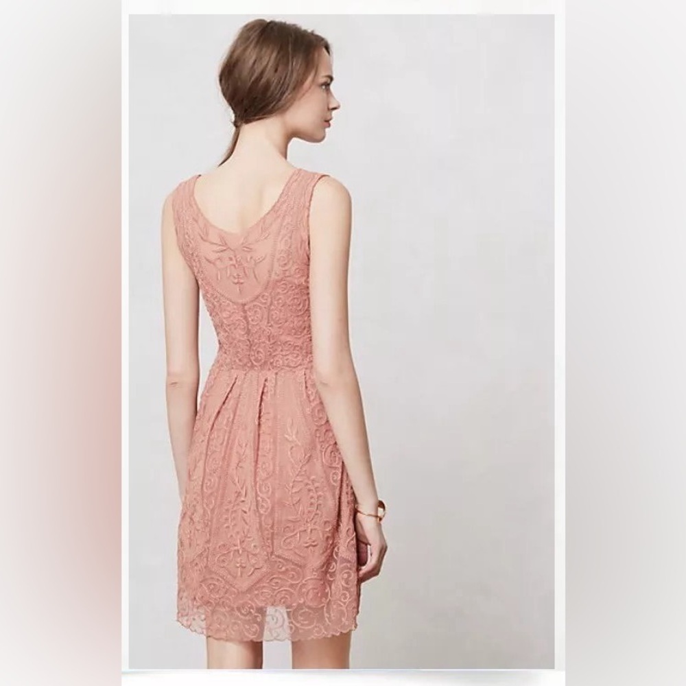 Anthropologie At Dusk Dress Sz 6 Dusty Rose Lace Embroidered Fit & Flare - Picture 14 of 14